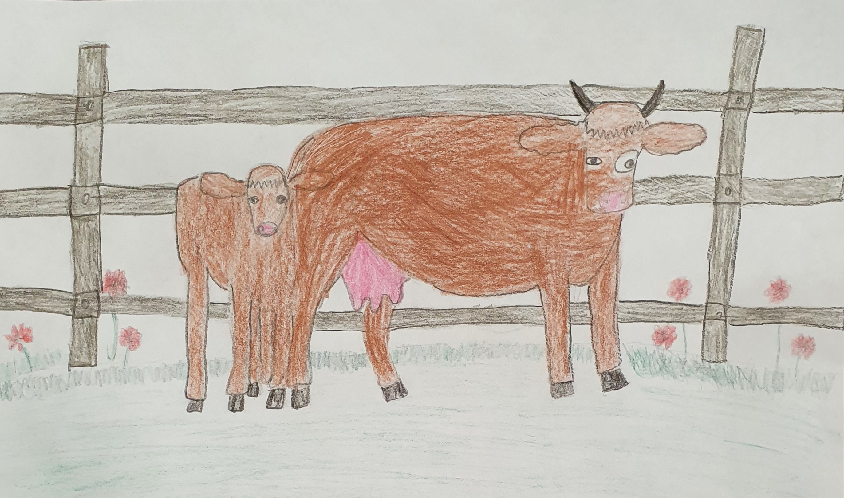 Цыбизова Мария